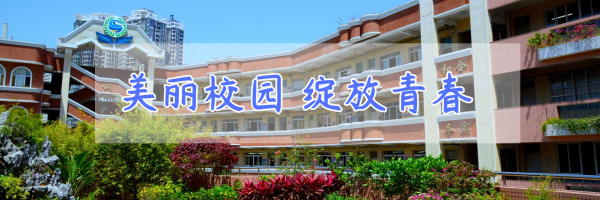 2018年 新品